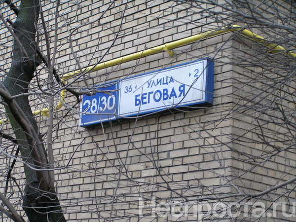 Дом 30.03 24 новая жизнь