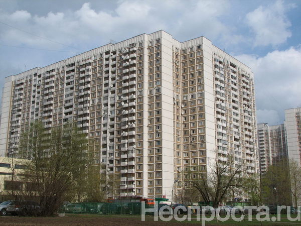 Королева Дом 8 Фото